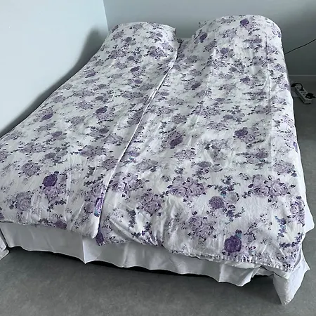 Two-room In The Center Apartman Hanko